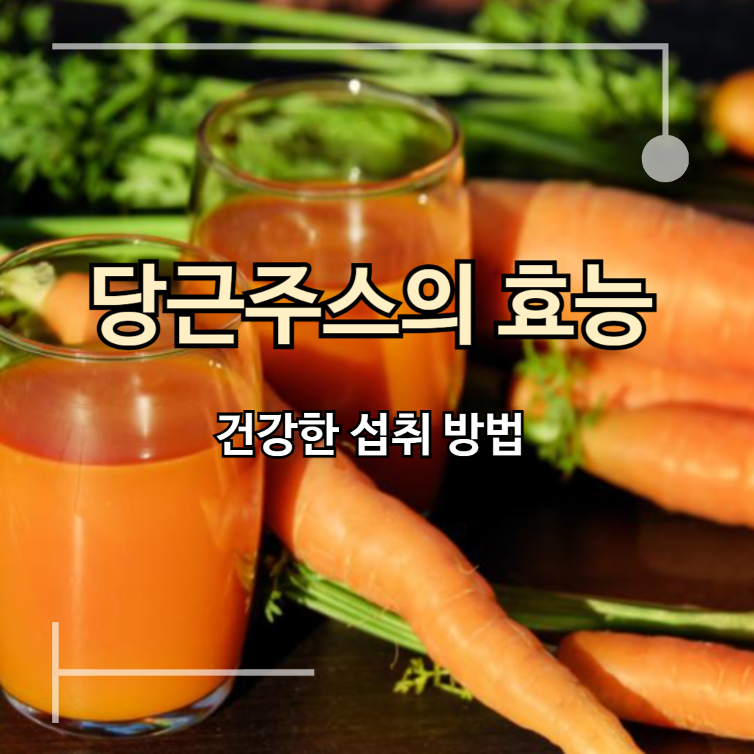 당근주스 효능