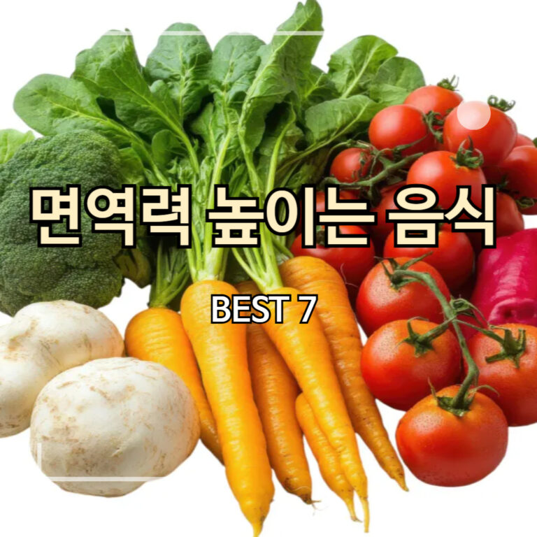 야채여러개