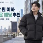 남자 덕다운 패딩 추천: 10만 원 이하 하이넥·기본형·경량